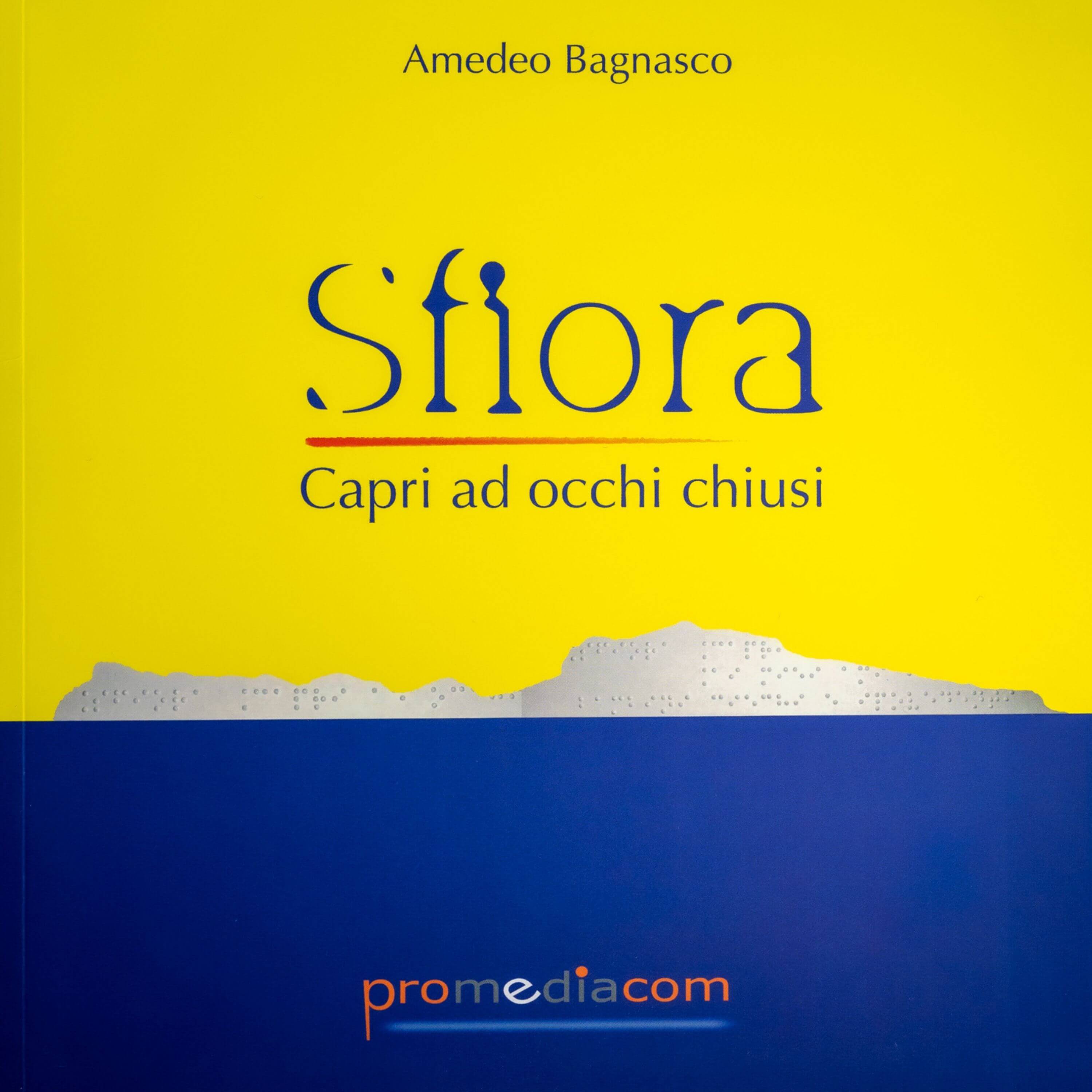 Libro Sfiora di Amedeo Bagnasco, vista frontale.